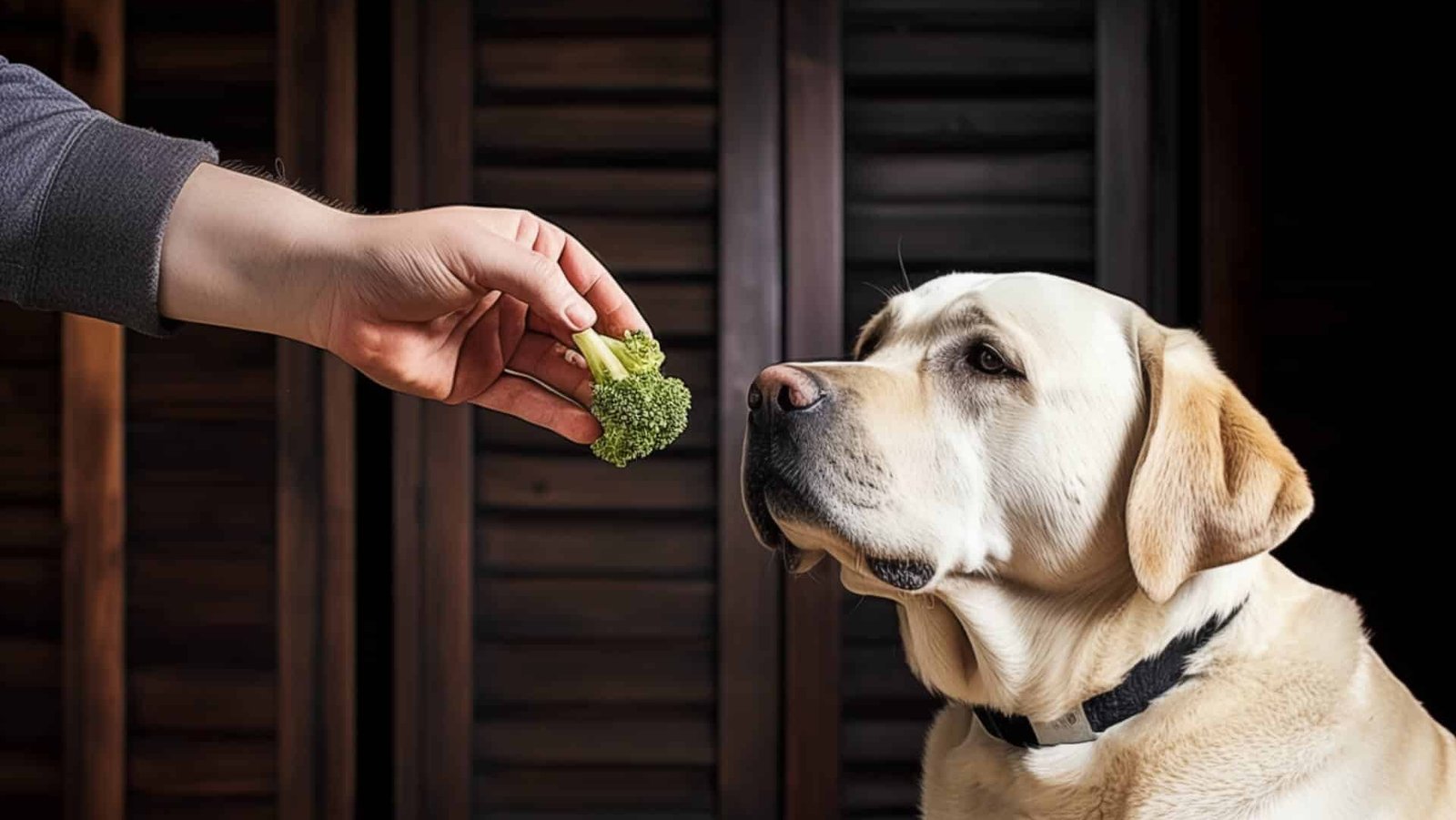 Healthy Treats